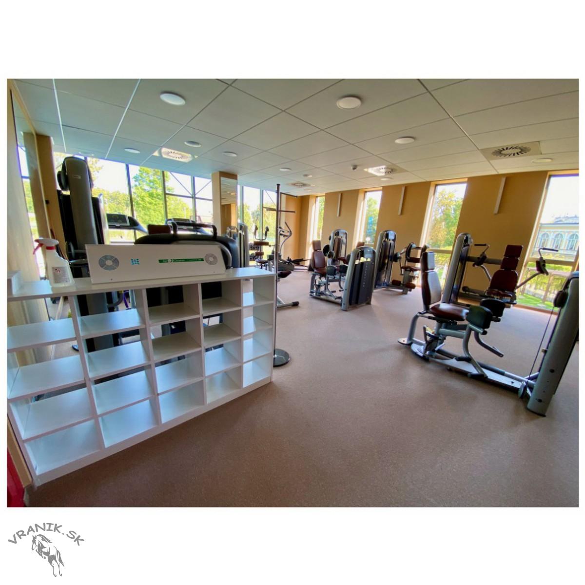 Germicídny žiarič AirCleaner ProfiSteril 300